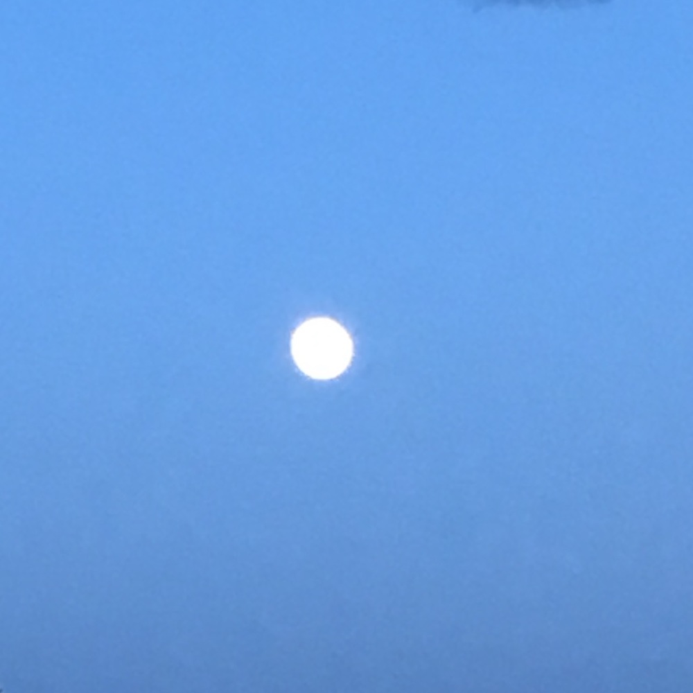 Meet your Posher, Dena